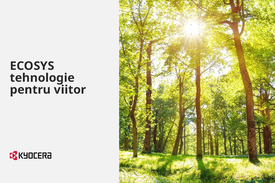 ECOSYS: protejăm mediul înconjurător