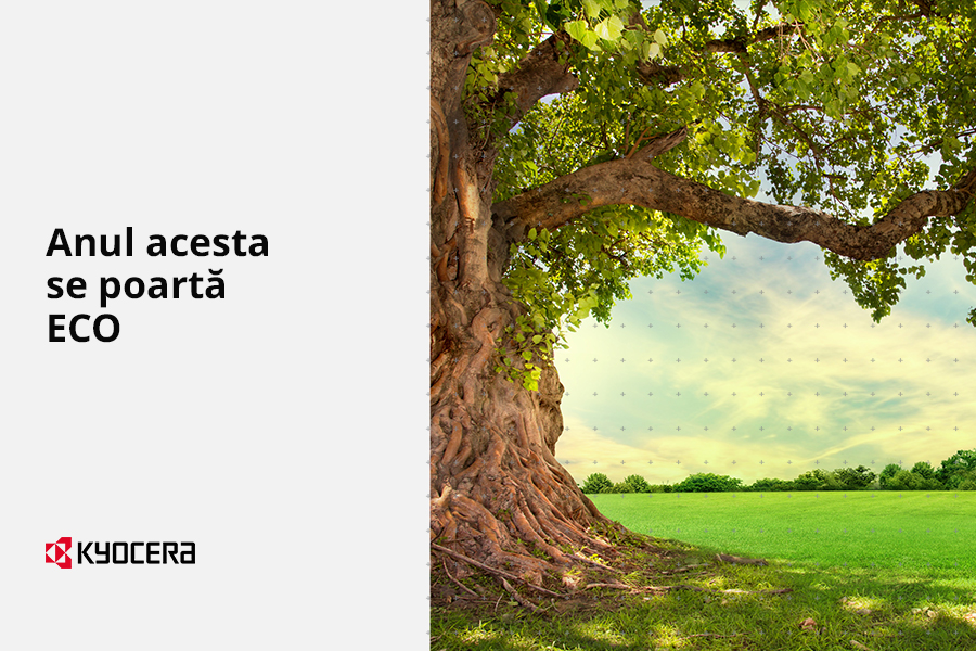 Produsele ecologice caștigă tot mai mulți adepți